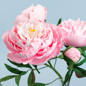 ������ �� ��������� ��������� �����