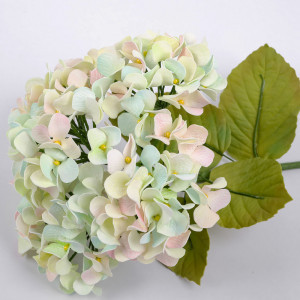 ������ �� ��������� ������� ����������