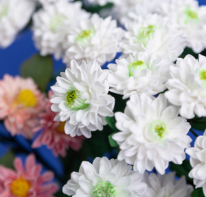 ������ �� ��������� ��������� ����������