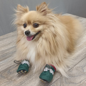 ������� ��� �������