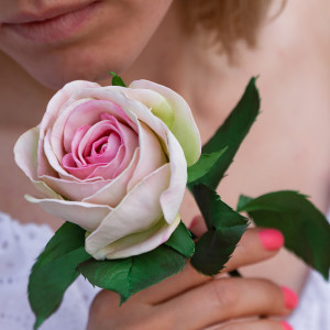 ���������� ���� �� ���������